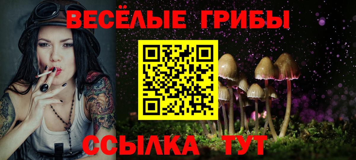 Псилоцибиновые грибы мухоморы  Псилоцибиновые грибы Psilocybine cubensis  Вход с VPN  Заводоуковск 