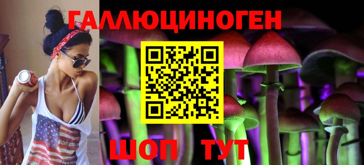 Галлюциногенные грибы Cubensis Заводоуковск